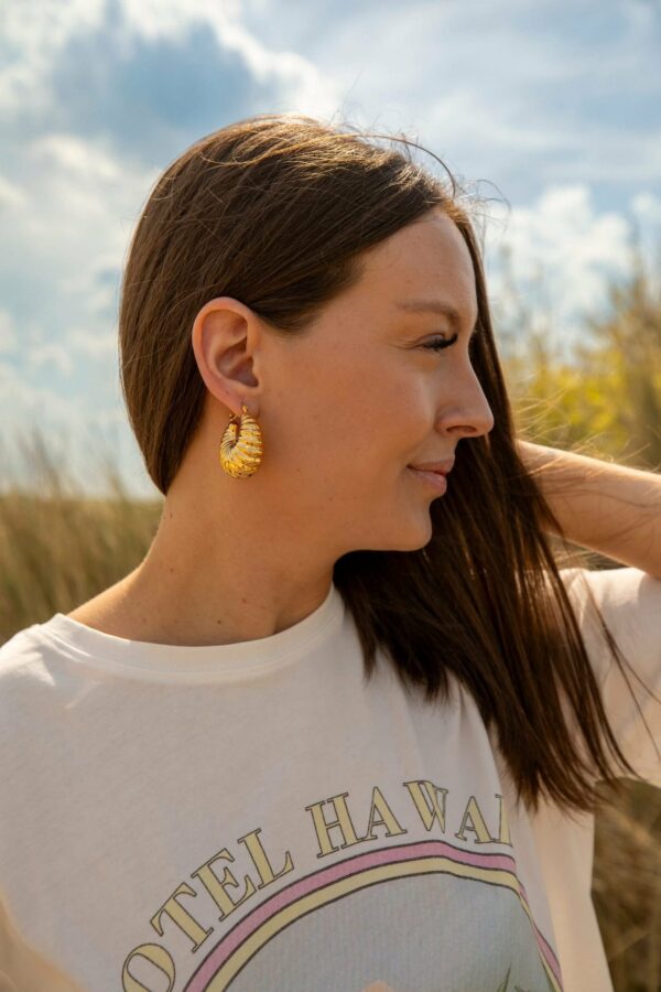 Boucles d'oreilles